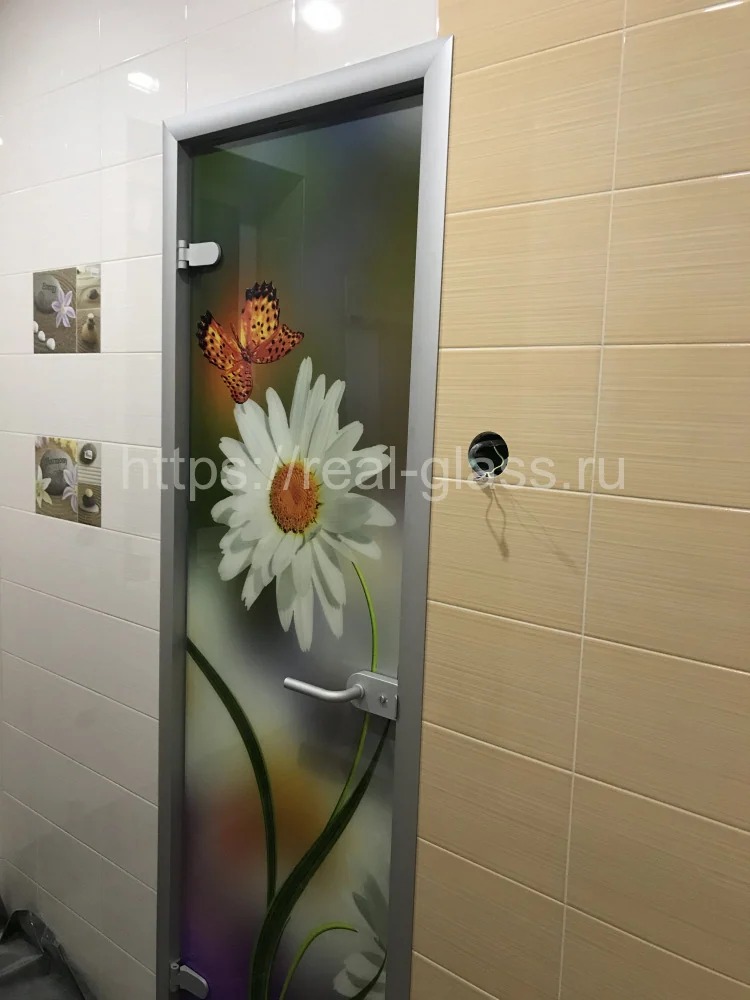 Стеклянная дверь с фотопечатью в алюминиевой раме