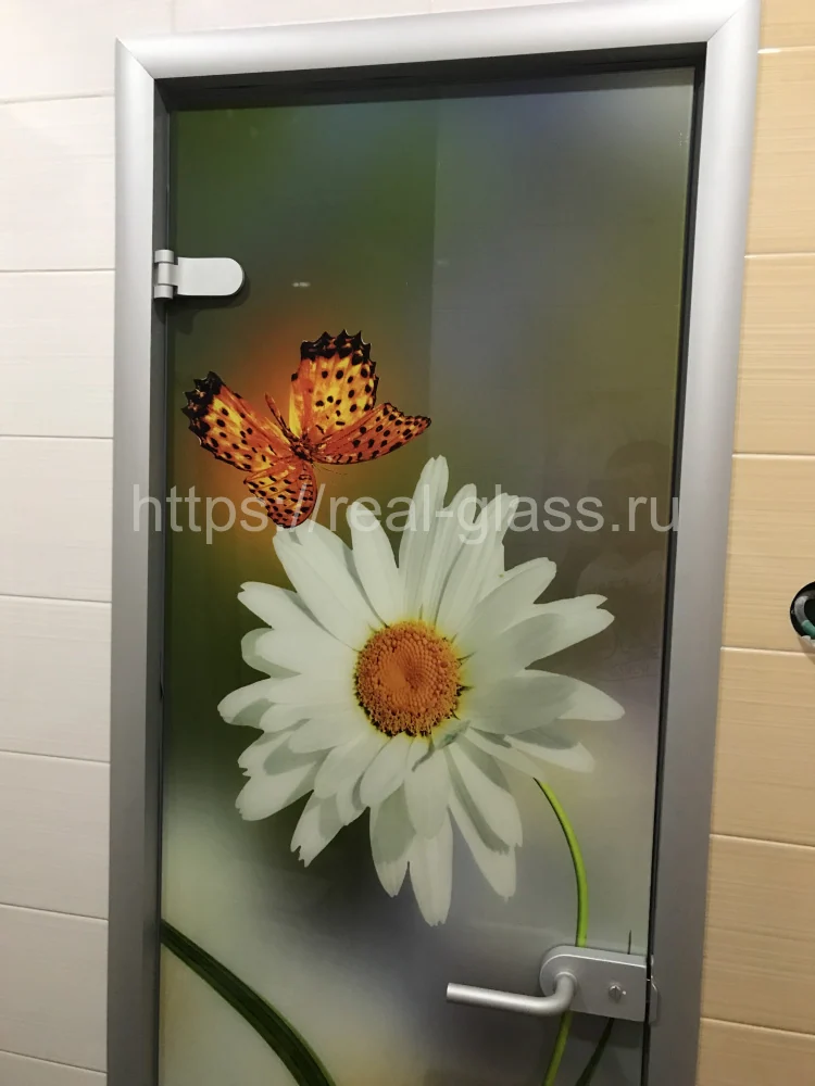 Стеклянная дверь с фотопечатью в алюминиевой раме