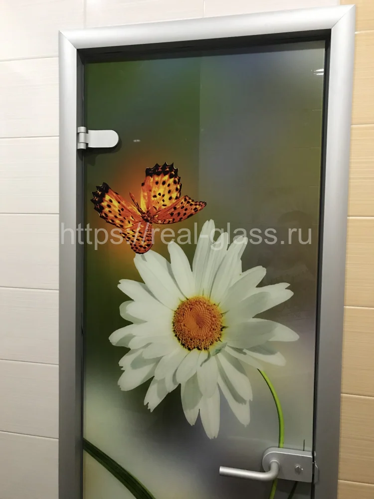 Стеклянная дверь с фотопечатью в алюминиевой раме