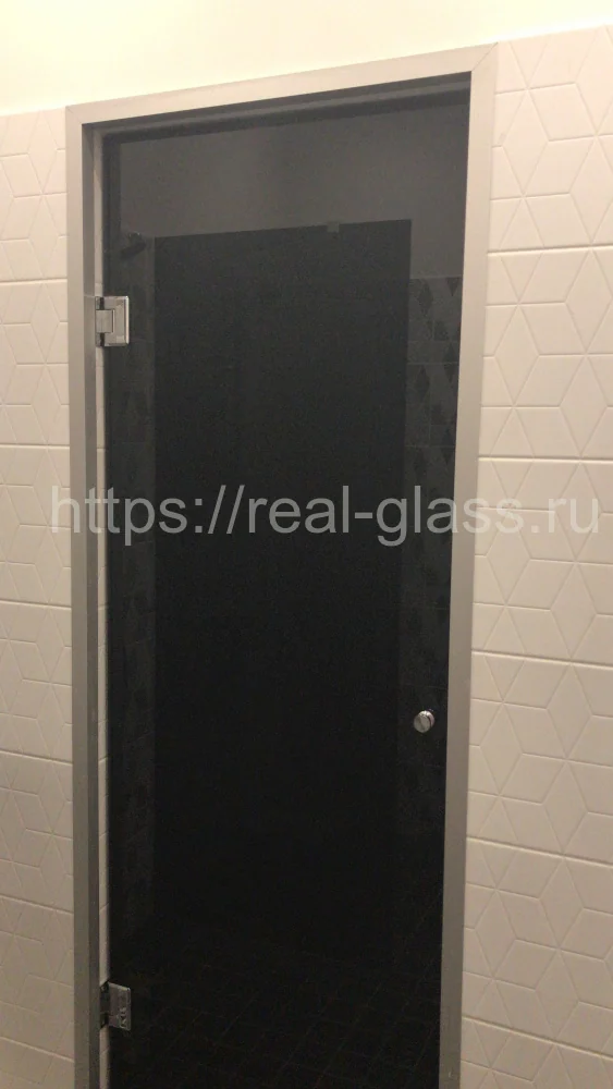 Стеклянные двери Графит