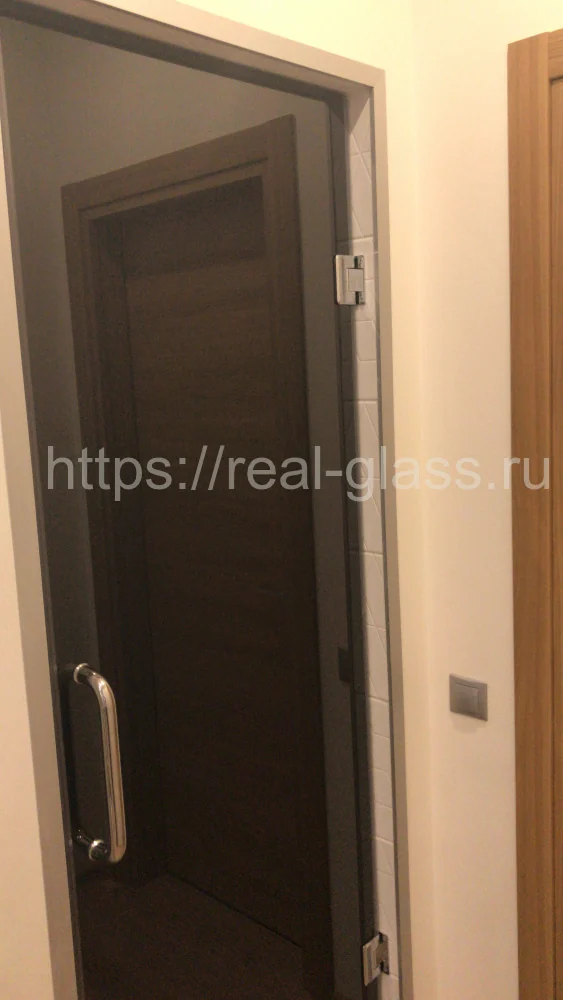 Стеклянные двери Графит